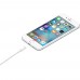 Apple Lightning to USB кабель 1m Copy 1-1