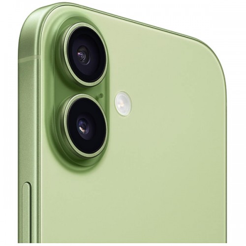 Apple iPhone 17 256Gb Sage (MG6N4)