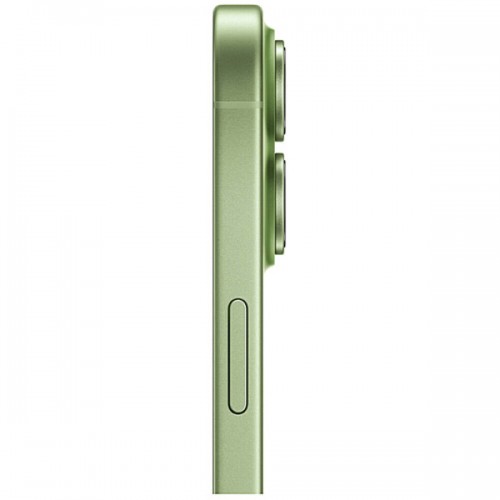 Apple iPhone 17 256Gb Sage (MG6N4)